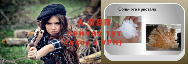 ГАЛЛЮЦИНОГЕННЫЕ ГРИБЫ Белокуриха