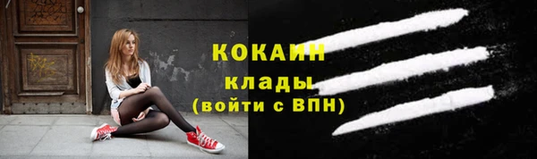 ГАЛЛЮЦИНОГЕННЫЕ ГРИБЫ Белокуриха