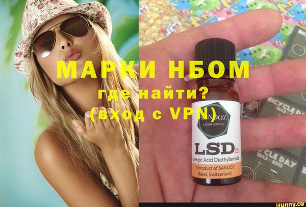 ГАЛЛЮЦИНОГЕННЫЕ ГРИБЫ Белокуриха
