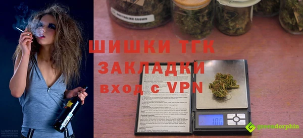 ГАЛЛЮЦИНОГЕННЫЕ ГРИБЫ Белокуриха