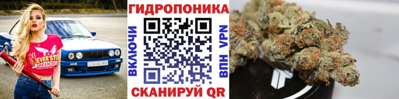 Канабис гибрид  Купить закладки  Бавлы 